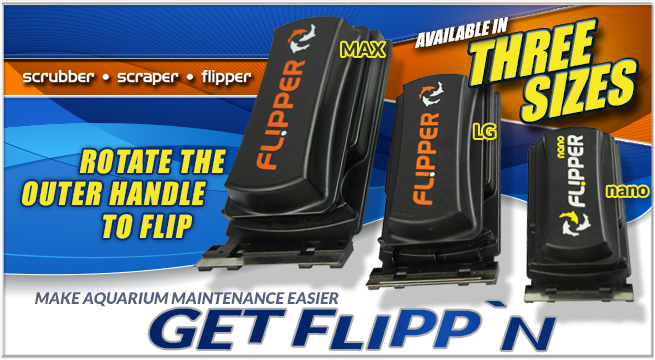 Flipper Cleaner