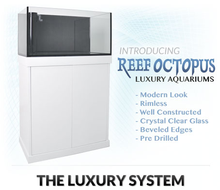 Reef Octopus Luxury Aquariums