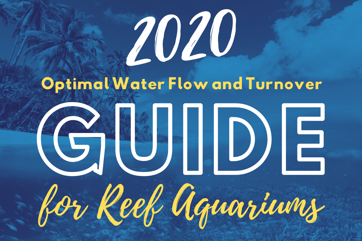 2020 Guide for Optimal Water Flow and Turnover in a Coral Reef Aquarium