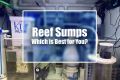 Reef Sump 101