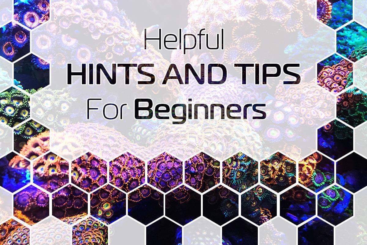 Helpful Hints and Tips For Beginners
