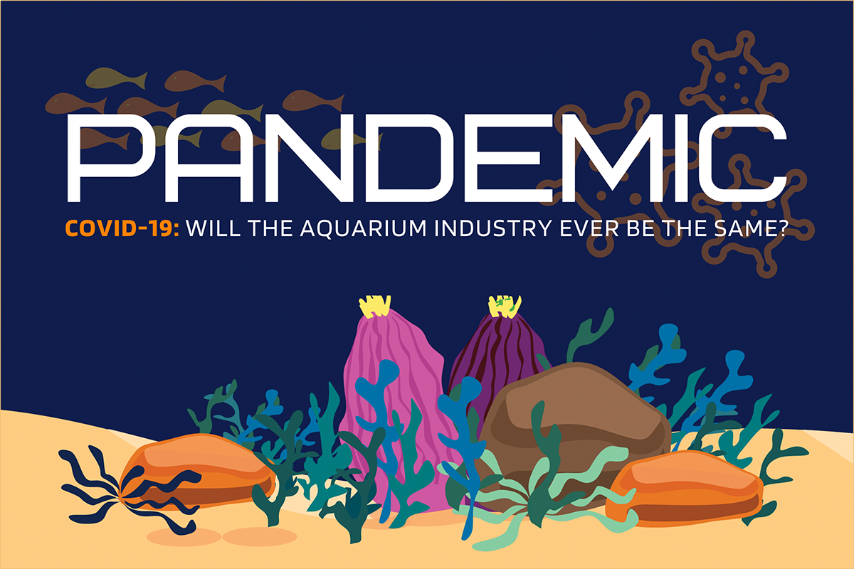 Coronavirus COVID-10 Impact  on the Aquarium Hobby Industry