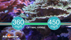 It is recommended to keep calcium levels in aquaria between 360mg/lt and 450mg/lt.