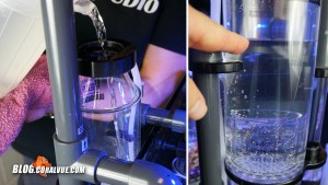 Manually fill the skimmer with tank water until water starts to flow back into the tank.
