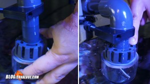 Manually insert the surface skimming device to the skimmer. Move it up or down until the top of the skimming cage is just below the water surface. 