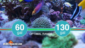 The Classic 90 HOB Skimmer is rated for tanks from 60 to 130 gallons.