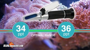 Make sure that your salinity is at optimal levels as the skimmer will not work in fresh water.