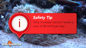It is recommended that you raise the calcium level gradually and no more than 50 milligrams per liter a day.