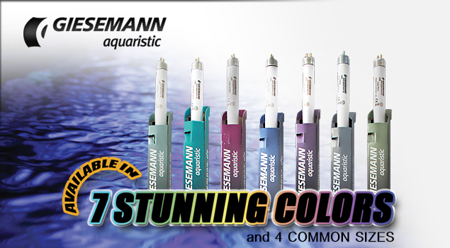 Giesemann T5 Bulbs