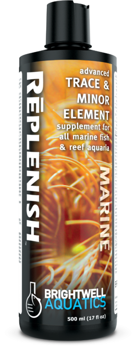 補充 Replenish Brightwell Replenish Supplement | CoralVue