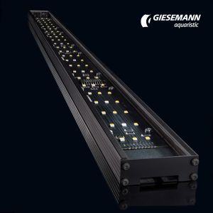 Giesemann Pulzar LED Bar