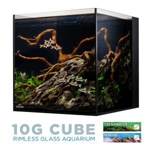 IceCap 10Gal Cube AIO Aquarium