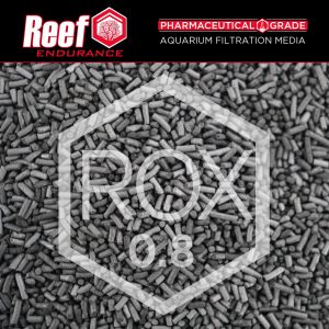 Reef Endurance ROX Carbon