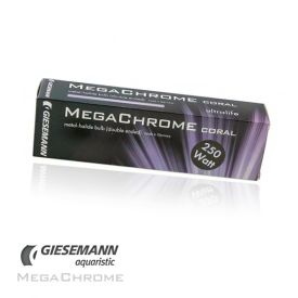 Giesemann MegaChrome Coral Lamp