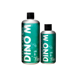 Dino M