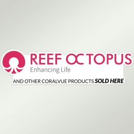 Reef Octopus Logo Die Cut Sticker