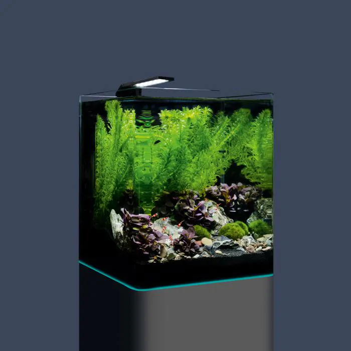 Dennerle Nano Cube Complete 20 L 5 US Gal