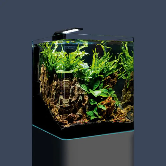 Nano cube aquarium shop
