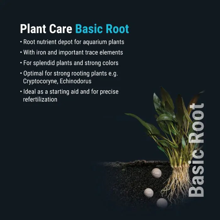 Dennerle Plant Care Basic Root