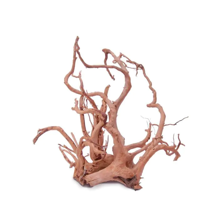 Dymax Tweety Wood | CoralVue