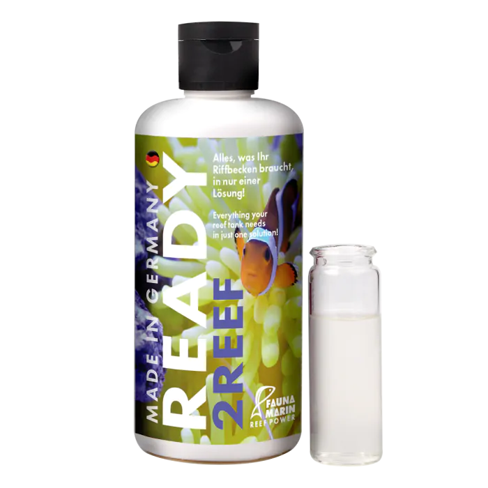 Ready 2 Reef - Fauna Marin