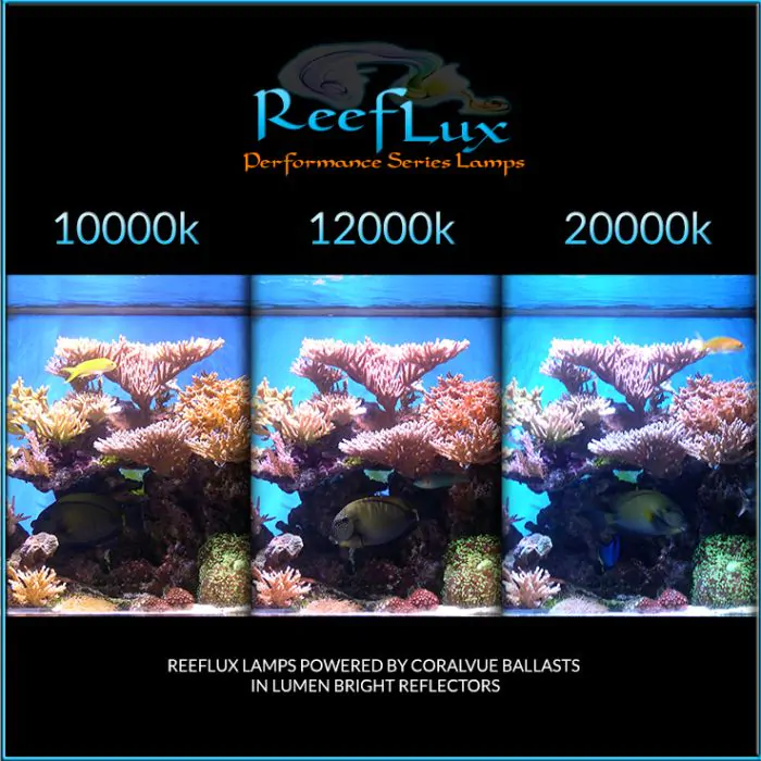 400 watt Reeflux Single End Mogul Style Metal Halide Bulbs CoralVue