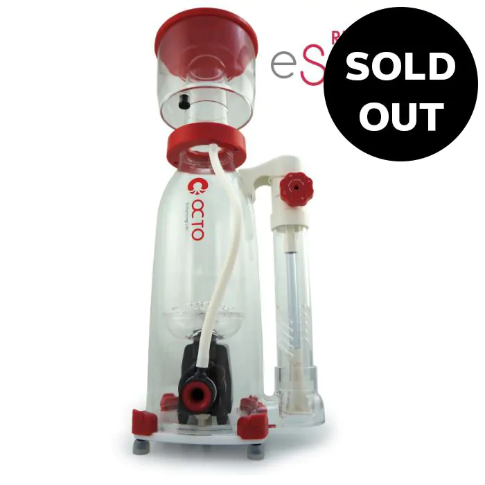 essenceskimmerimg-SO