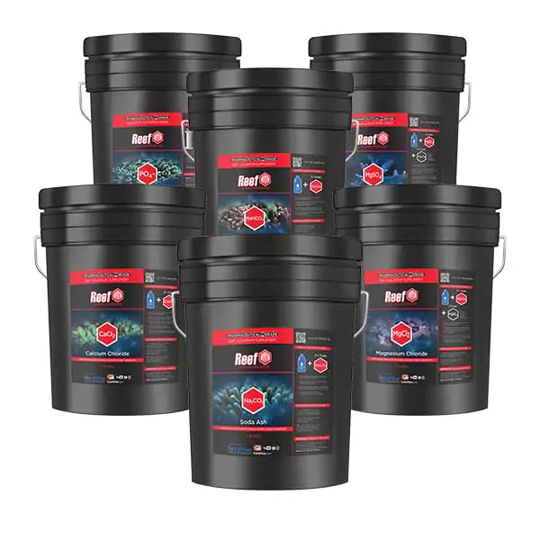 reef-endurance-bucket