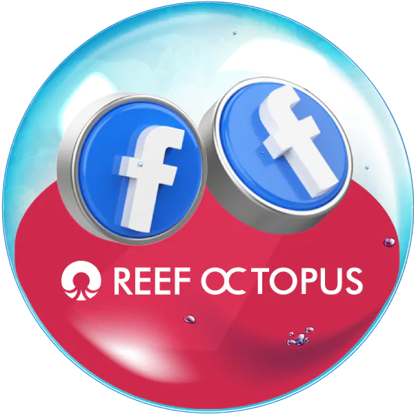 reef-octopus-Facebook