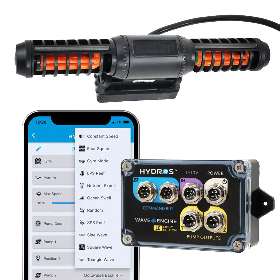 ic_2kgyre_wele_whitebackground