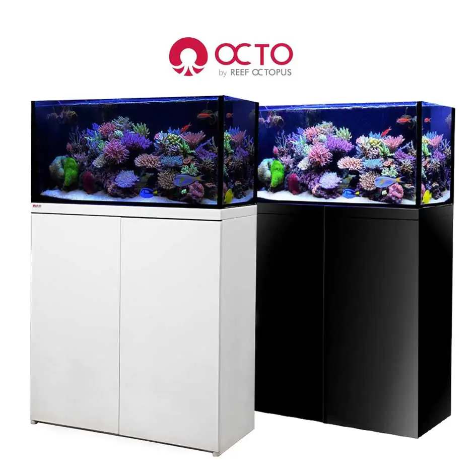 octoaquariums_1