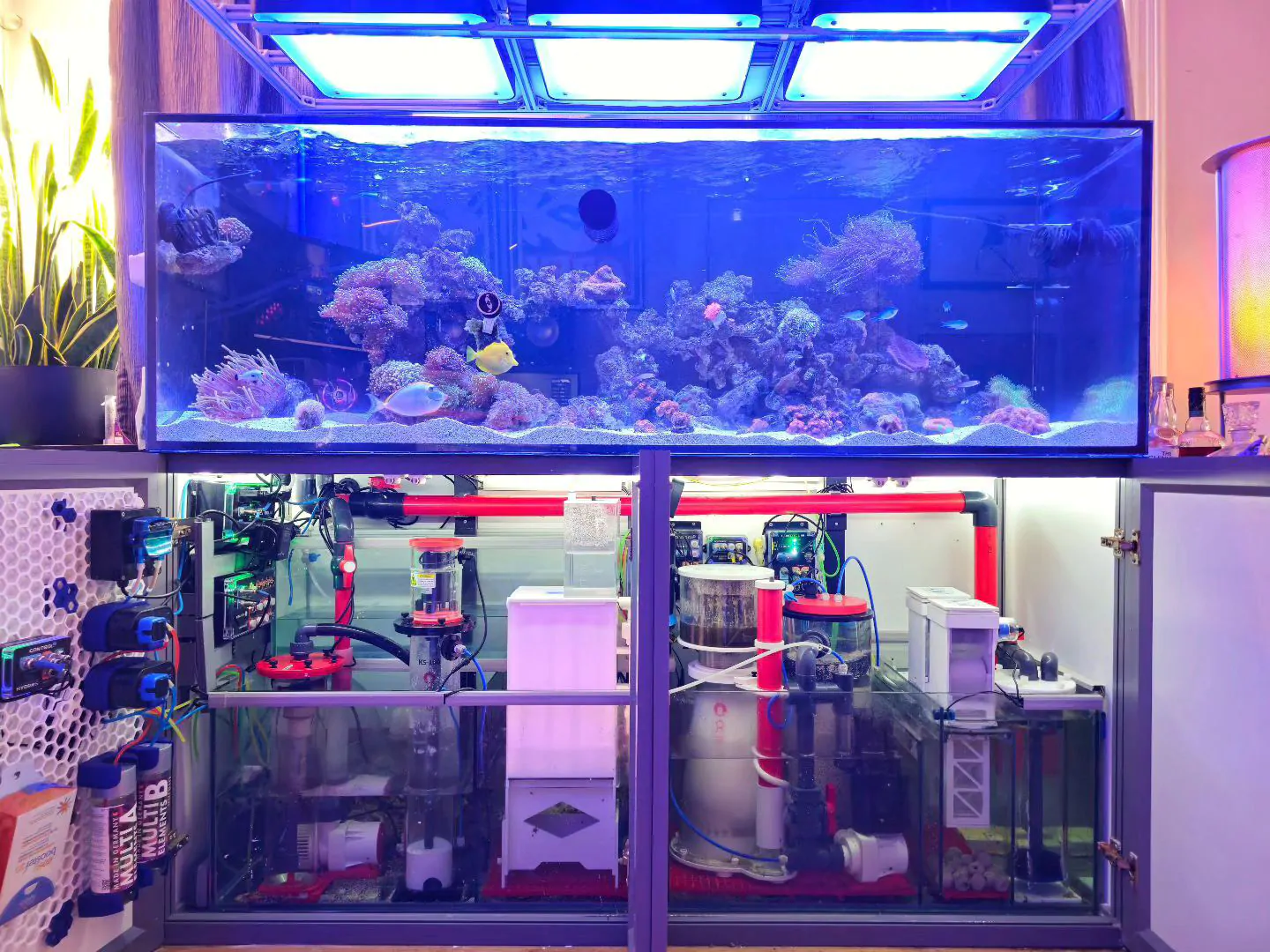 Aquarium_and_Sump_Example_-_Reef_Octopus_and_HYDROS