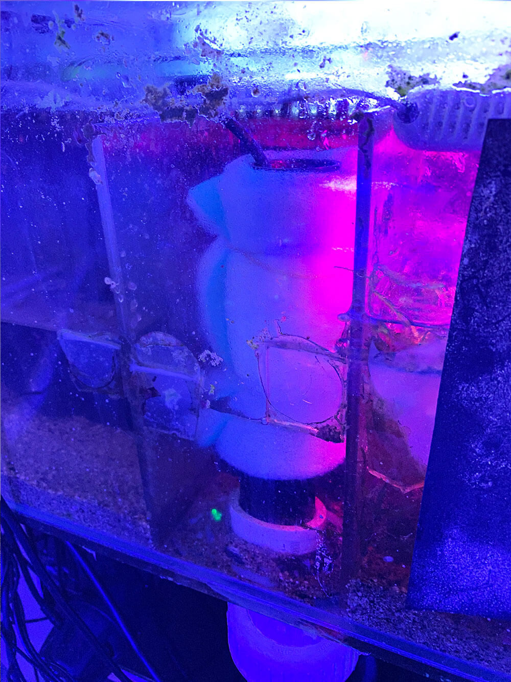 Mechanical filtration is still a useful type of filtration to have on every tank.