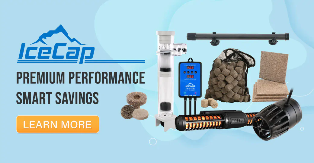 IceCap - Premium Performance, Smart Savings