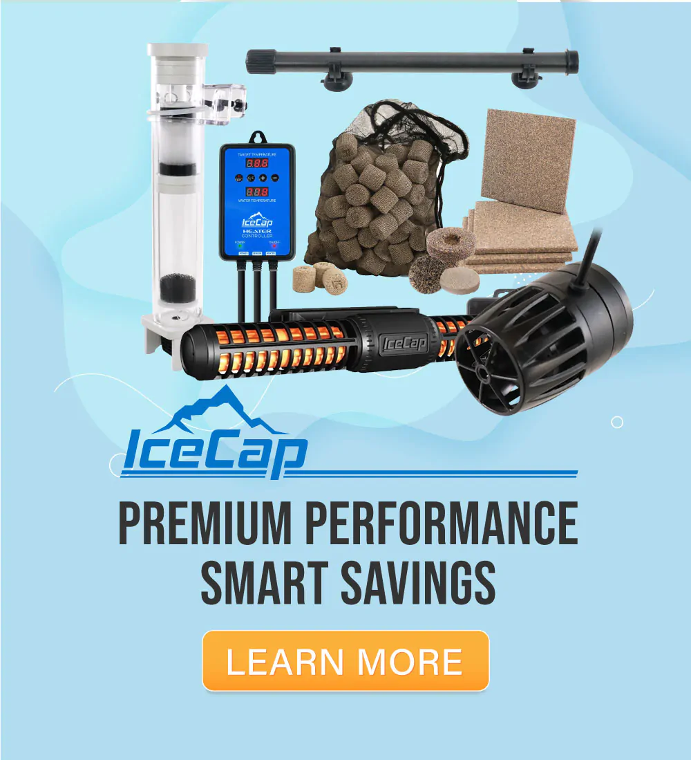 IceCap - Premium Performance, Smart Savings
