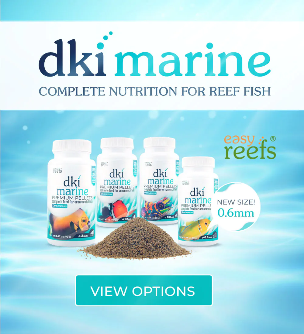 Easy Reefs DKI Marine Food