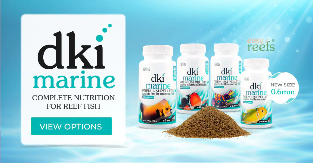 Easy Reefs DKI Marine Food