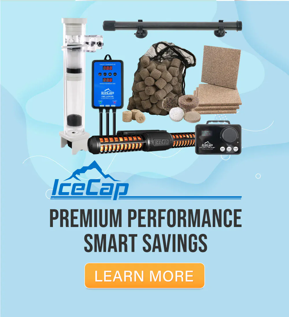 IceCap - Premium Performance, Smart Savings