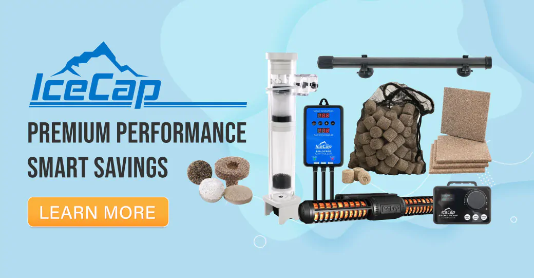 IceCap - Premium Performance, Smart Savings