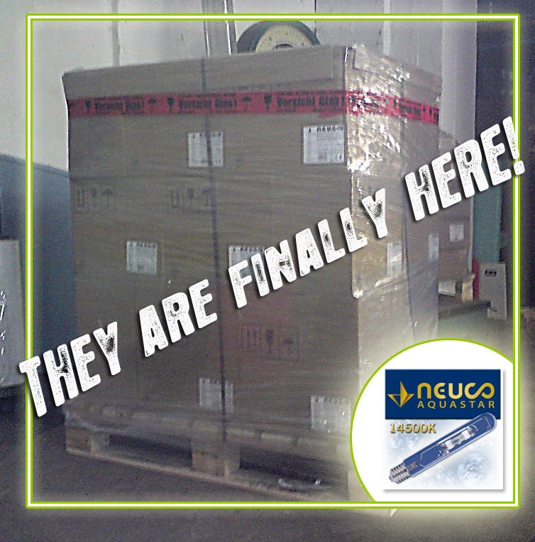 NEUCO AquaStar Metal Halide Lamps Finally Arrived CoralVue