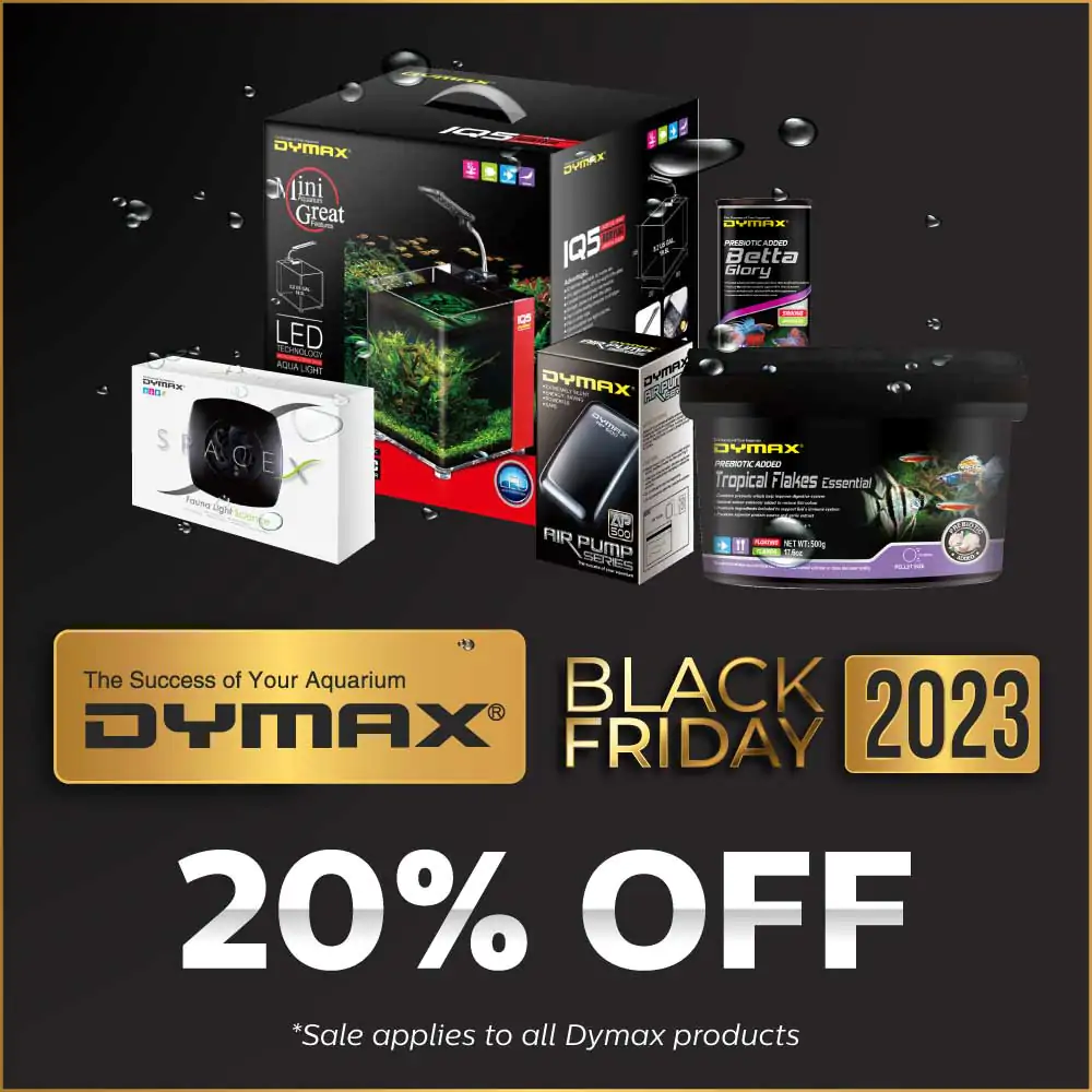 bf-2023-eblast-and-social-dymax