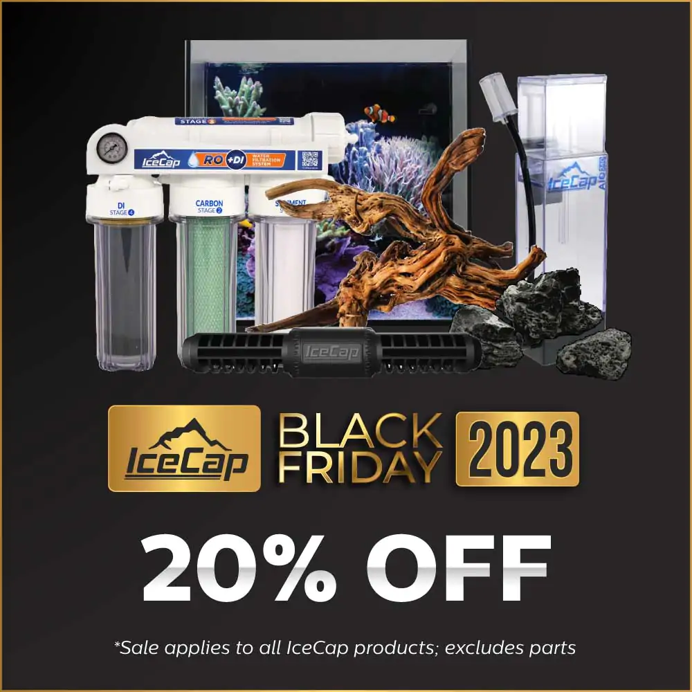 bf-2023-eblast-and-social-icecap