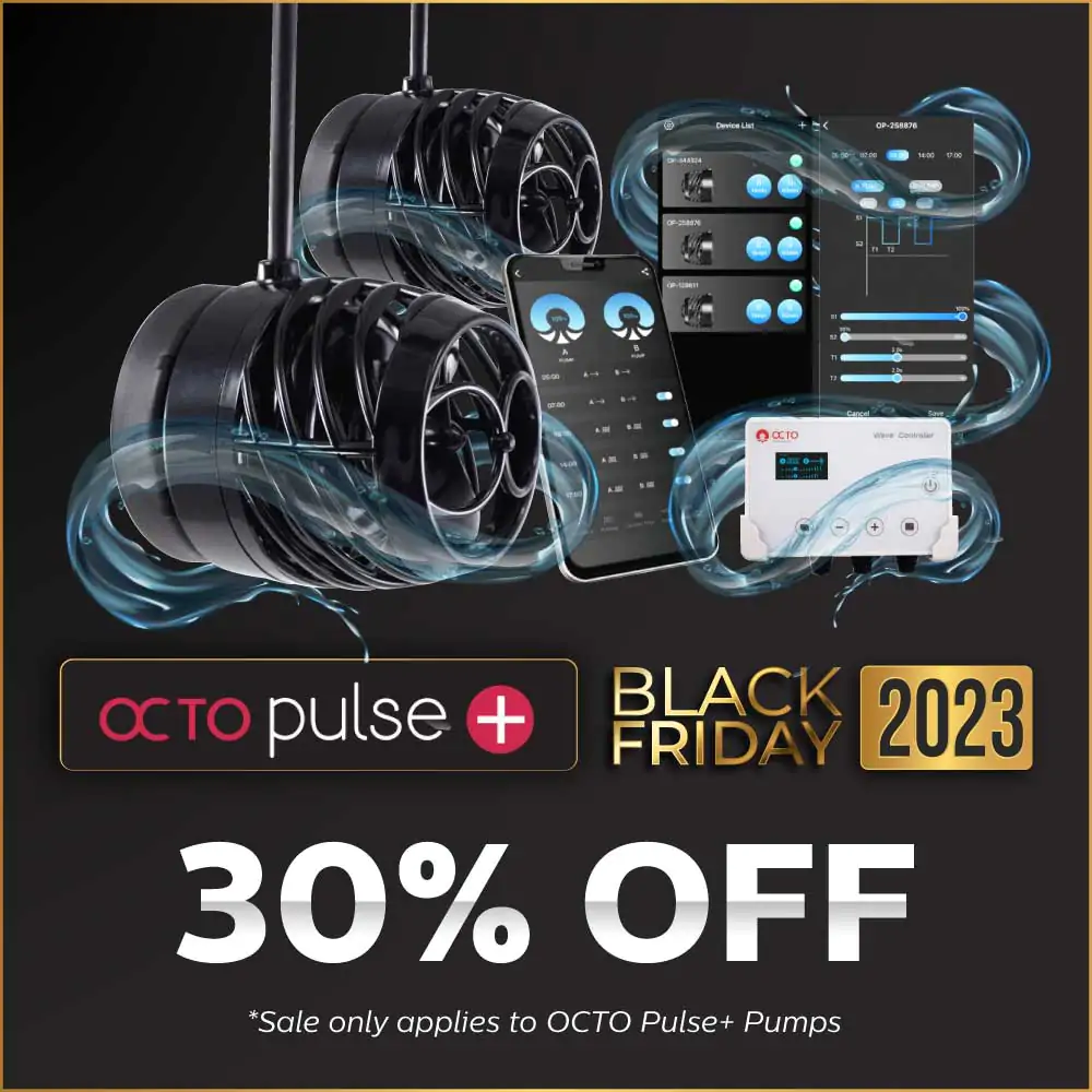 bf-2023-eblast-and-social-octo-pulse-plus