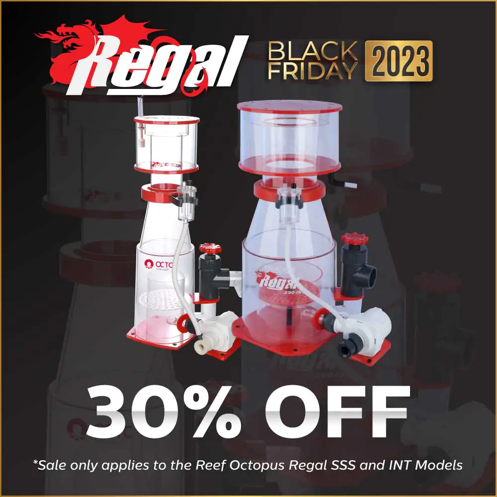 bf-2023-eblast-and-social-regal