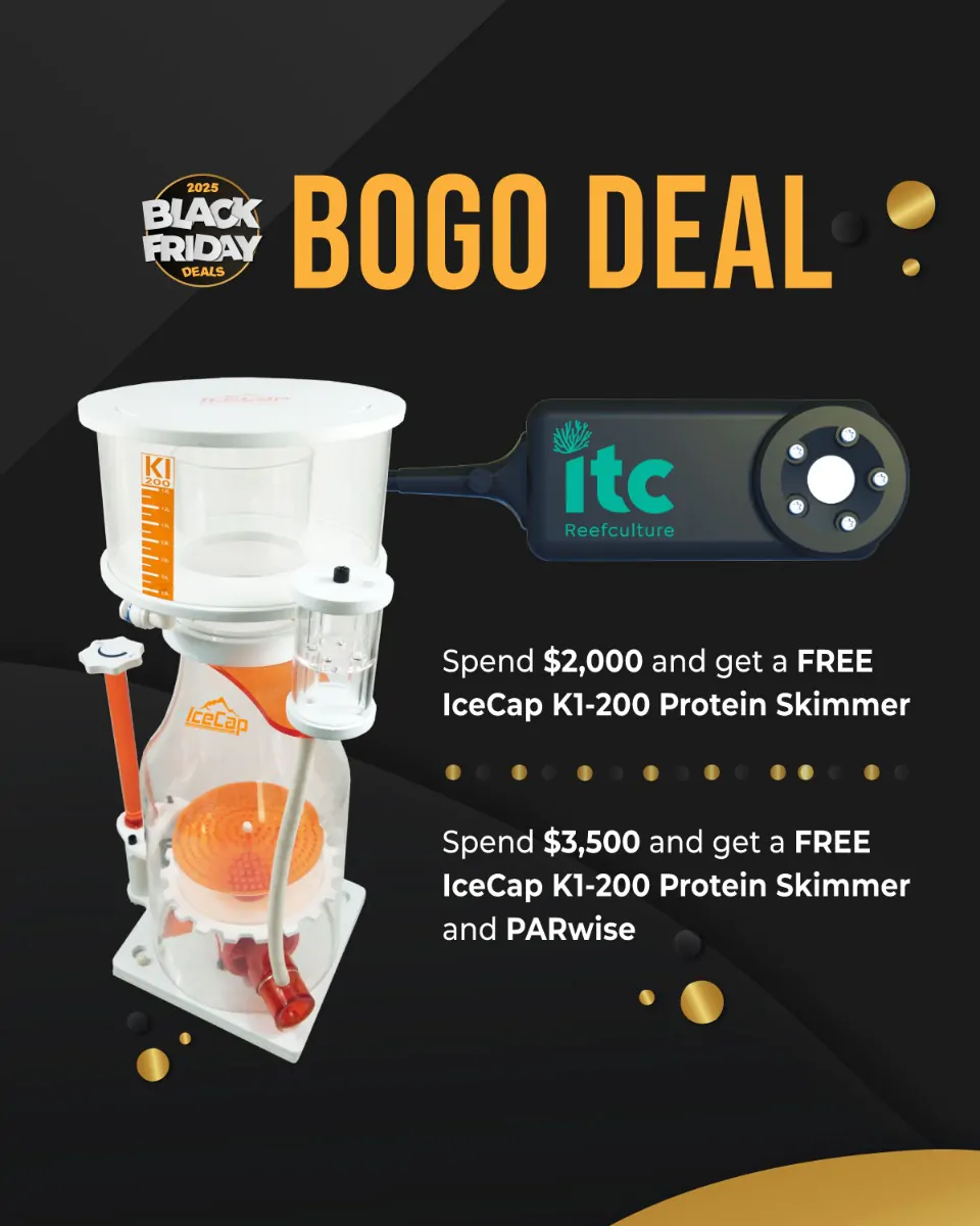 coralvue-black-friday-2025-bogo-deals-4-5_1