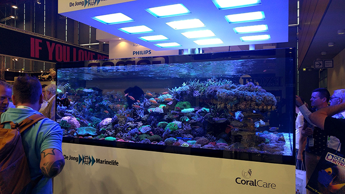 The CoralCare Gen1.1 debuted at Interzoo 2018. Here are 12 fixtures above a display from De Jong Marinelife.