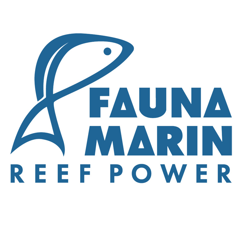 Fauna Marin