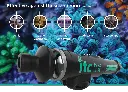 ITC_Reef_Culture_-_Reef_Delete_-_V2_-_9-22.webp