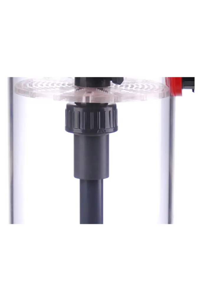Check-Valve-and-Sieve-Plate.webp