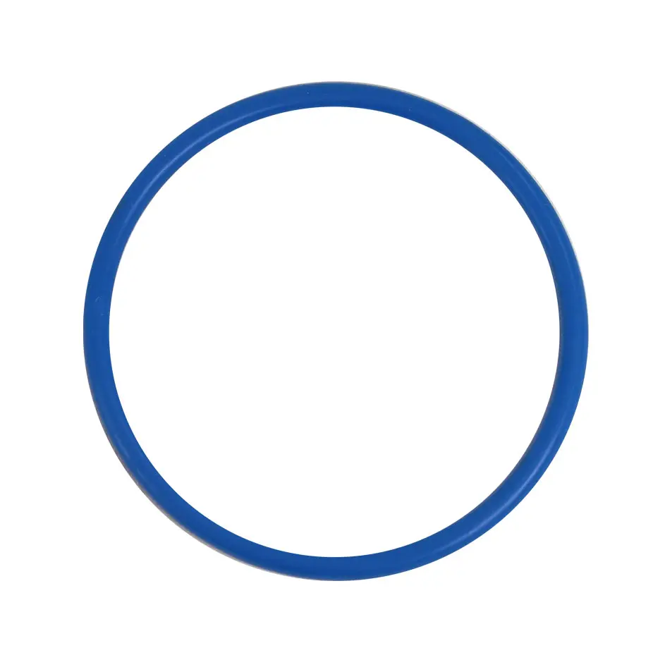 IC_UV_oring.webp